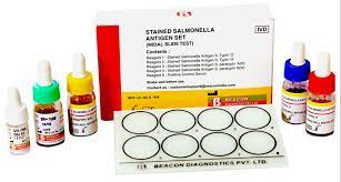 image of Stained Salmonella Antigen